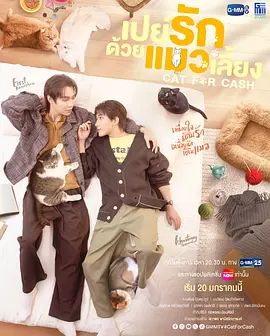 以猫饲爱电视剧