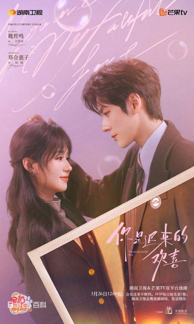 你是迟来的欢喜（2026）电视剧